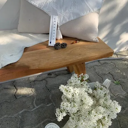 Chasa Tusa 스쿠올