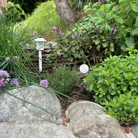 Chasa Tusa 아파트