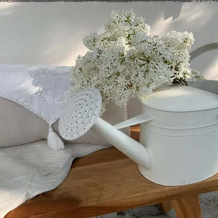 Apartment Chasa Tusa